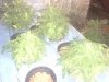 20141008_230902.jpg