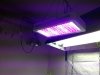 lights.jpg