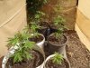 2013_1011auto10013.JPG