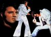 ELVIS1.jpg