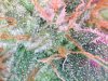 SDG micro day 44 (F)  (11).jpg