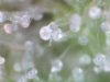 SDG micro day 44 (F)  (12).jpg