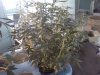20141019_144607.jpg