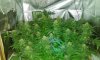 SDG day 47 (F) (2).jpg