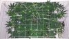 Day 39 - Top View.jpg