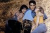 elvis rollin in hay.jpg