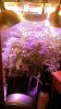 IMG_20141022_141510.jpg