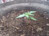 20111224_135410.jpg