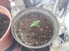20111224_135414.jpg