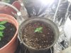 20111224_135418.jpg