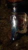 DSC04826.jpg