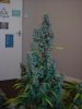 DSC01564.jpg