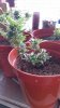 20141025_133736.jpg