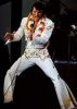 elvis !!.jpg elvis !!.jpg