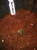Sour Cr x Chemdoggin 1 Day 1 28.10 (2).jpg