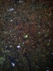Sour Crack x Chemdoggin 2 Day 1 28.10 (1).jpg