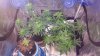 20141029_110225.jpg 20141029_110225.jpg