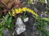 2013_1101cc10042.JPG