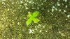 20141104_100554.jpg
