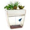 backtotheroots_aquafarm-fish-tank-w.jpg