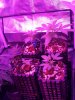 7-11-14.jpg