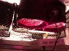 IMG_1736.jpg