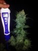 Tyrone Special Harvest Day 65 (15).jpg
