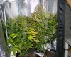 081114 Tent3.jpg