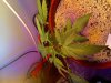 WIN_20141109_231504.jpg