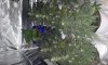 uploadfromtaptalk1415671221612.jpg