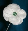 white_poppy_2r.jpg