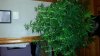 20141111_153312.jpg