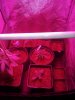 Whole Tent with the 2 leds  (2).jpg