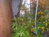 100_4392.jpg