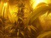 100_4400.jpg