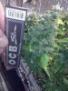 CAM00834.jpg