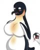 tits.jpg