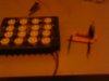 IMAG0013.JPG