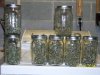 harvest2j.jpg