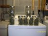 harvest2i.jpg