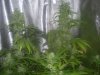 100_4428.jpg