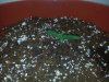 24c x Chem City Blues B Day 5 (2).jpg