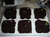 DSC01662.jpg