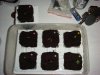 DSC01667.jpg