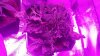 20141130_103903.jpg