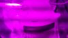 20141130_103930.jpg