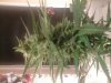 20141204_204352.jpg