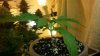20141204_170836.jpg