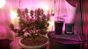 20141204_170655.jpg