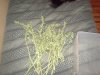 20141205_104757.jpg